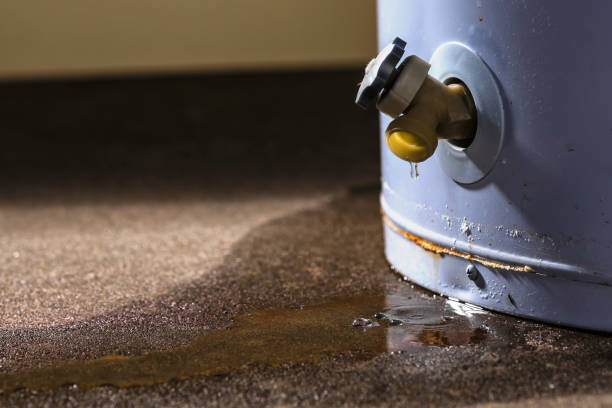 Best Basement water damage restoration  in Pasco, WA