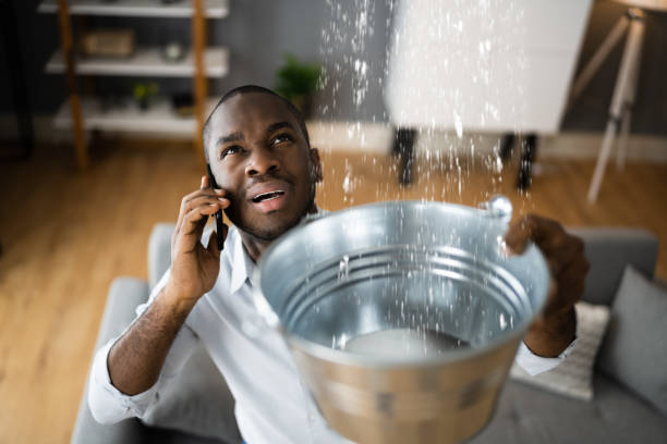 Best Water damage contractors near me  in Pasco, WA