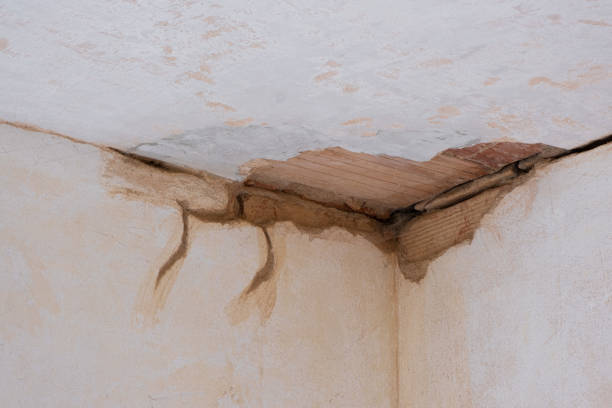 Best Professional water damage repair  in Pasco, WA