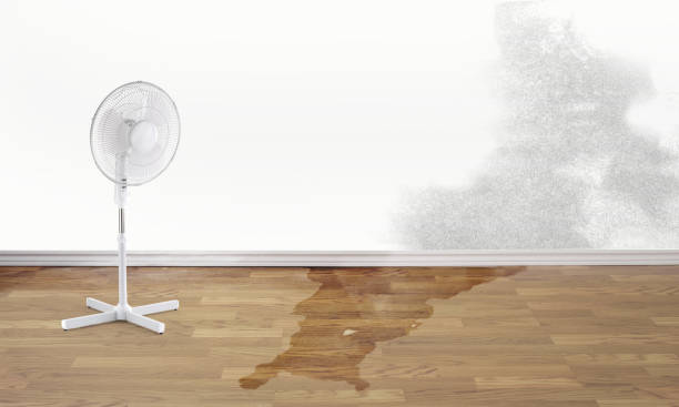 Best Emergency water damage restoration  in Pasco, WA