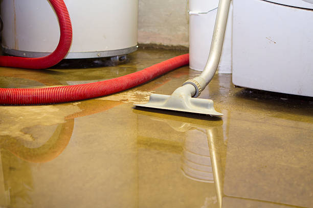 Carpet water damage restoration in WA
