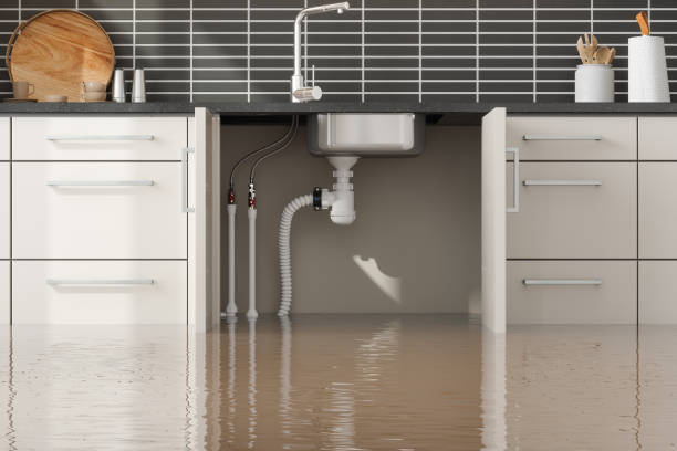 Best Local water damage restoration  in Pasco, WA