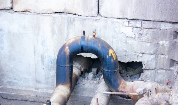 Best Local water damage restoration  in Pasco, WA