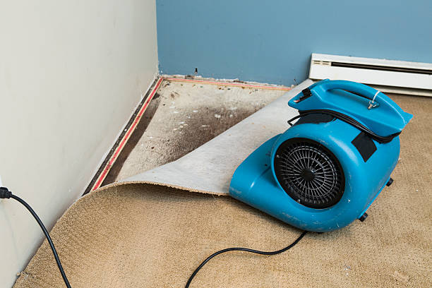 Best Carpet water damage restoration  in Pasco, WA